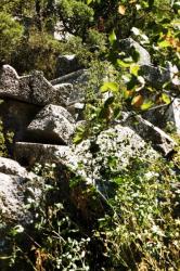 tombes de Thermessos.jpg